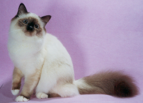 [Willow being formal]